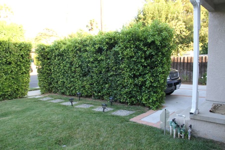 Enlarge photo 20