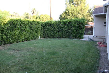 Enlarge photo 21