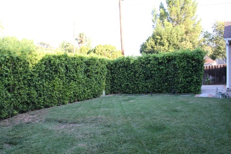 Enlarge photo 22