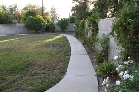 Enlarge photo 24