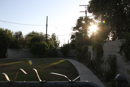 Enlarge photo 29