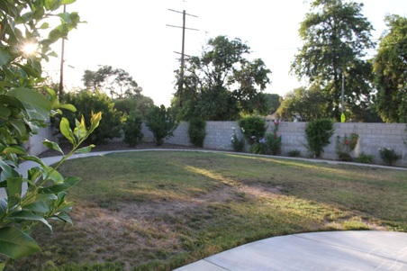 Enlarge photo 37
