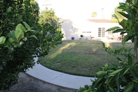 Enlarge photo 42
