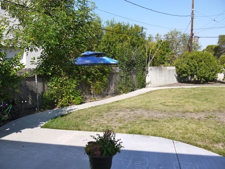 Enlarge photo 52