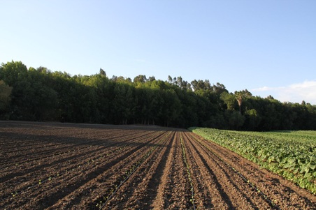 Enlarge photo 22