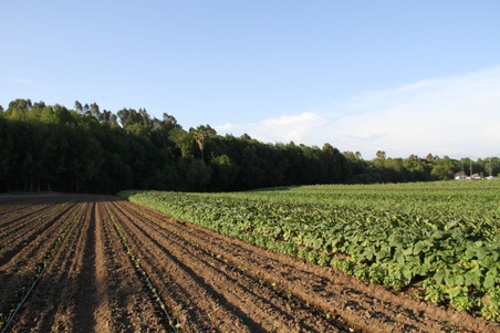 Enlarge photo 23