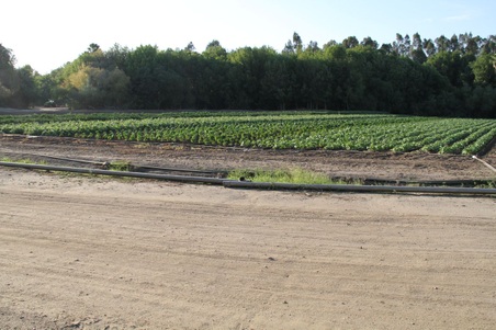 Enlarge photo 25