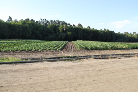Enlarge photo 27