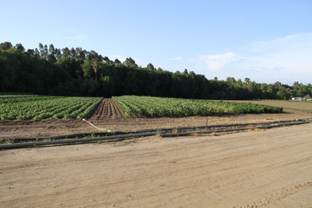 Enlarge photo 32
