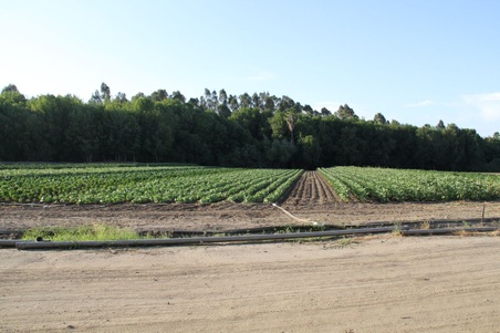 Enlarge photo 33