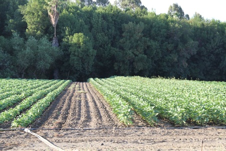 Enlarge photo 34