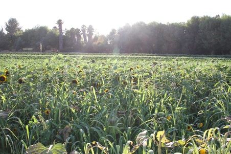 Enlarge photo 37