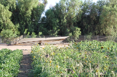 Enlarge photo 45