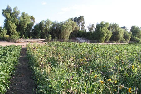 Enlarge photo 46