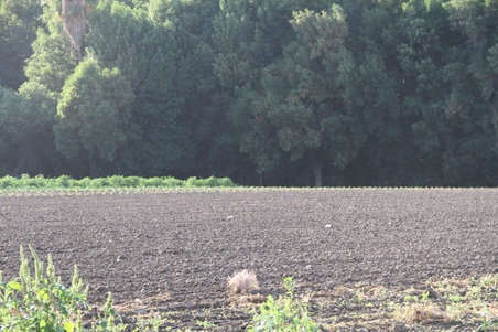 Enlarge photo 75