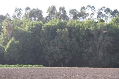 Enlarge photo 76