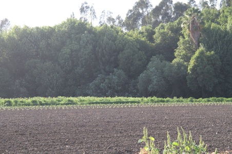 Enlarge photo 77
