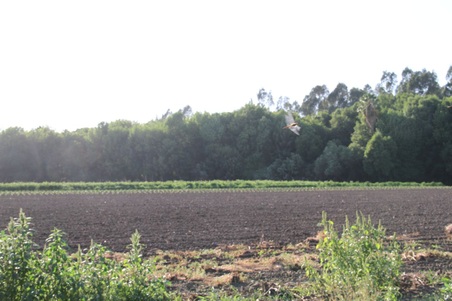 Enlarge photo 78