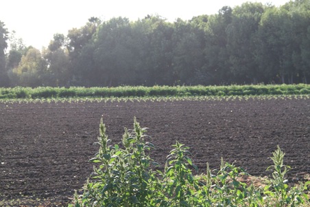 Enlarge photo 82