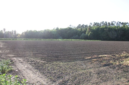 Enlarge photo 84