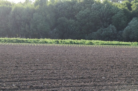 Enlarge photo 86
