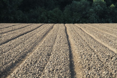 Enlarge photo 88