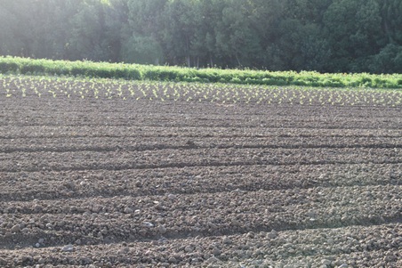 Enlarge photo 90