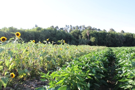 Enlarge photo 122