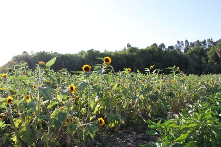 Enlarge photo 123