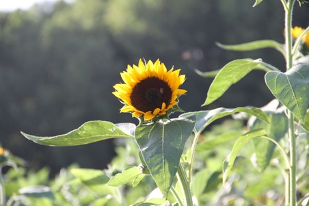 Enlarge photo 127