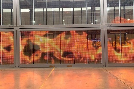 Enlarge photo 5