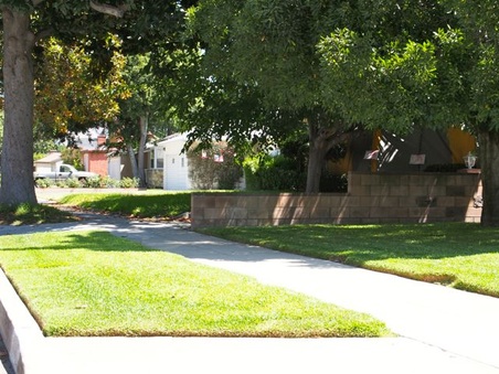 Enlarge photo 18
