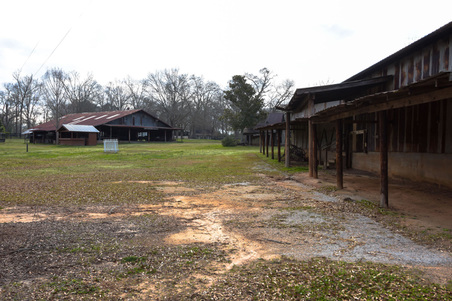 Enlarge photo 107