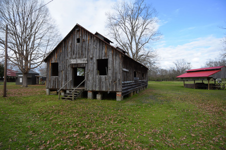 Enlarge photo 63