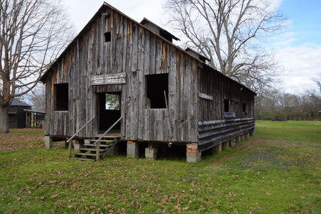 Enlarge photo 64
