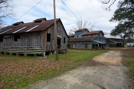 Enlarge photo 79