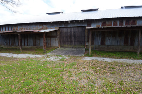 Enlarge photo 93