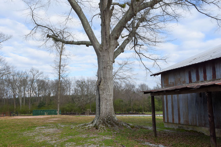 Enlarge photo 94