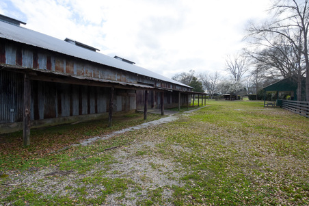Enlarge photo 95