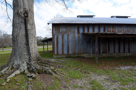 Enlarge photo 96