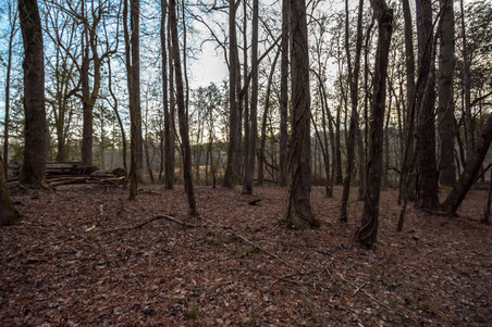 Enlarge photo 65