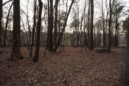 Enlarge photo 64