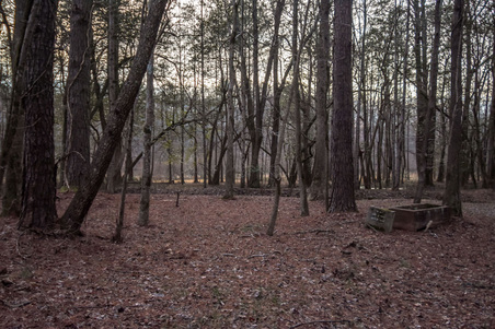Enlarge photo 63