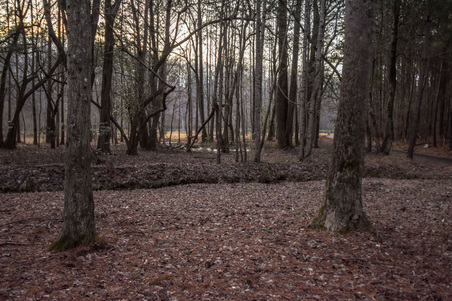 Enlarge photo 60
