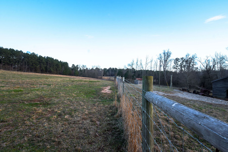 Enlarge photo 139