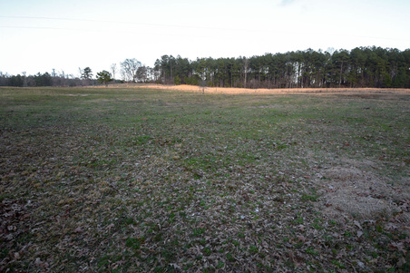 Enlarge photo 155
