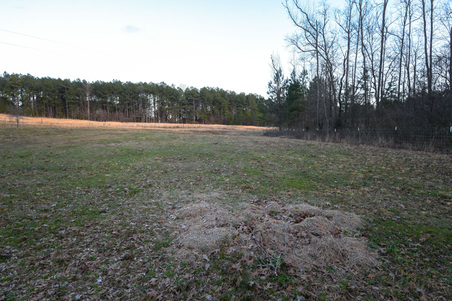 Enlarge photo 154