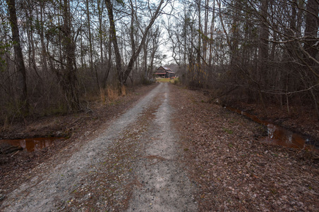 Enlarge photo 111
