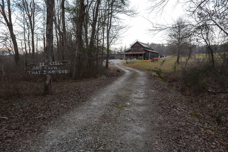 Enlarge photo 110