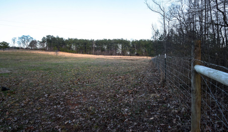 Enlarge photo 151